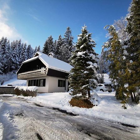 Holiday Home Davca Церкно Экстерьер фото